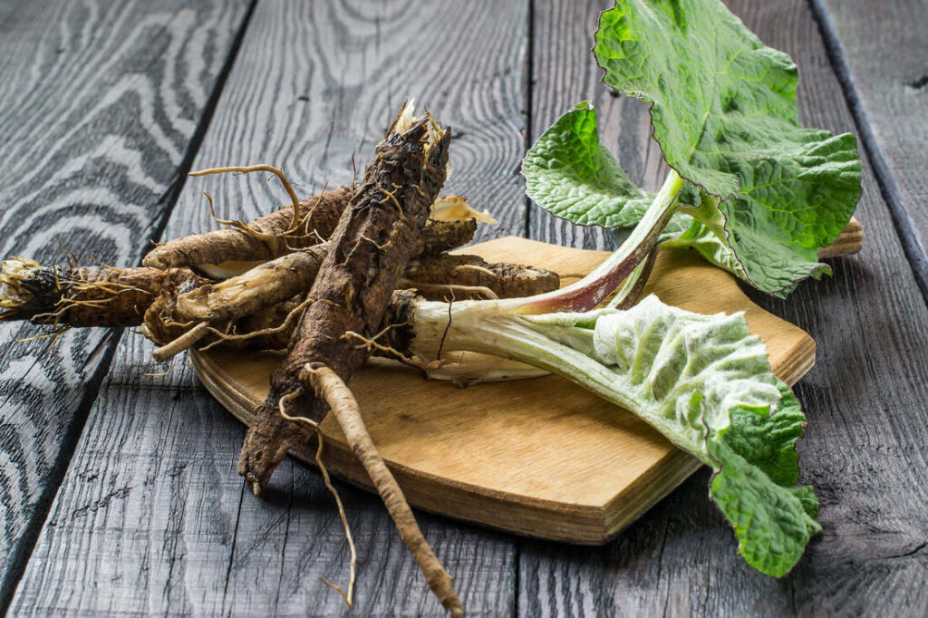 Essiac, Six Robust Herbs for Cell Protection