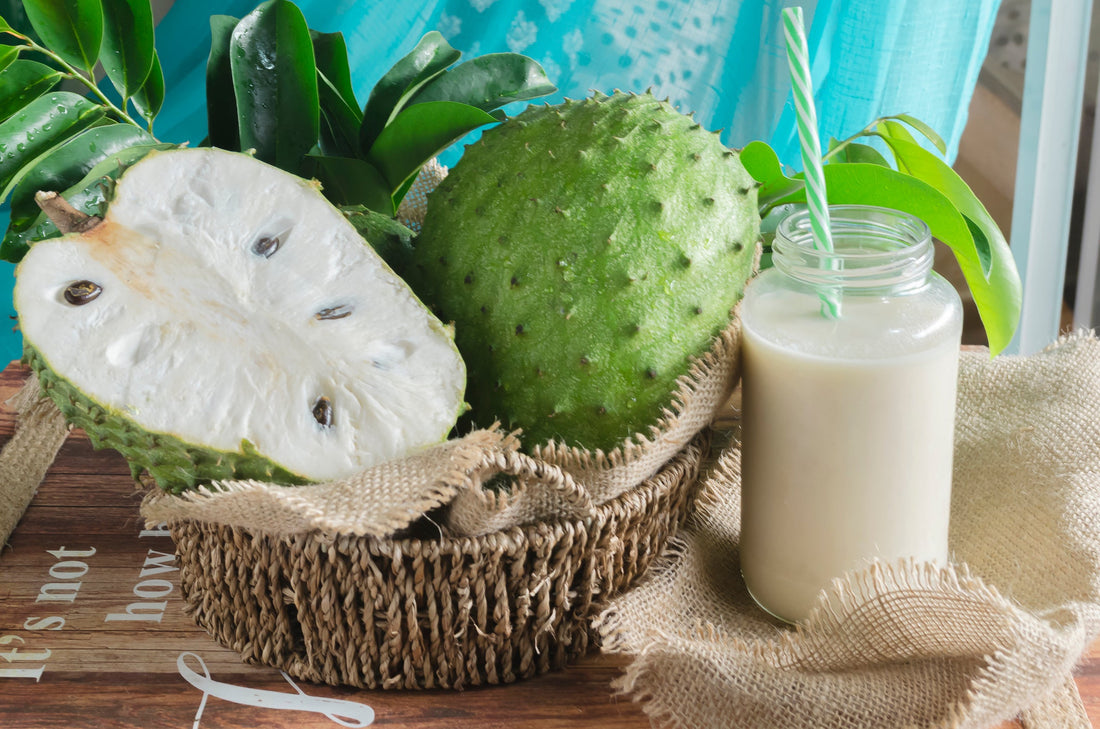 Graviola, Abnormal Cell Reducer and Promoter for Healthy Organs