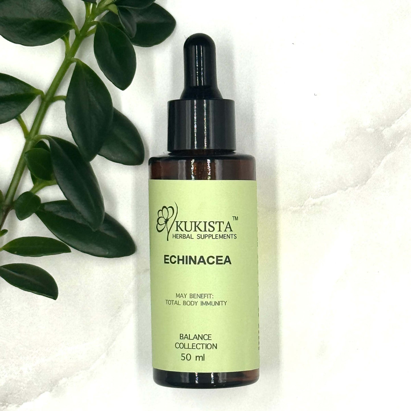 Echinacea