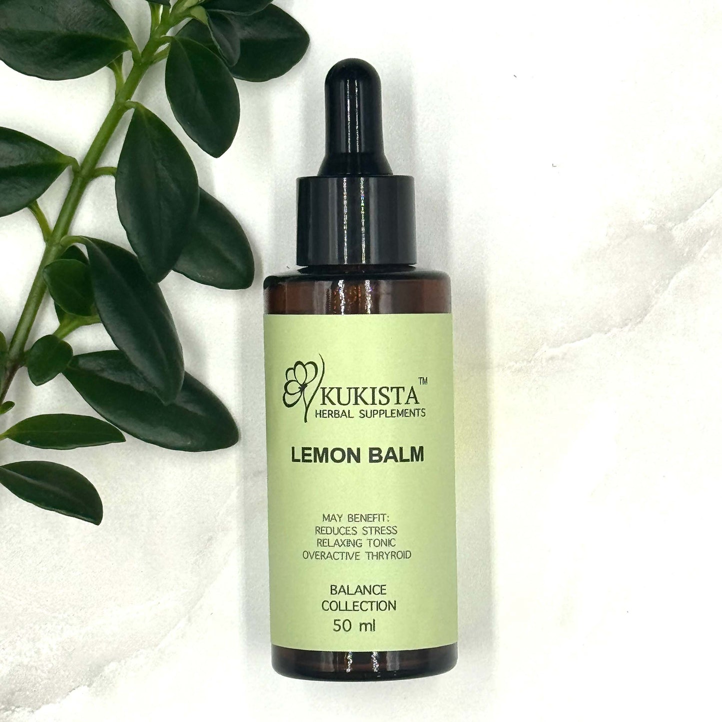 Lemon Balm