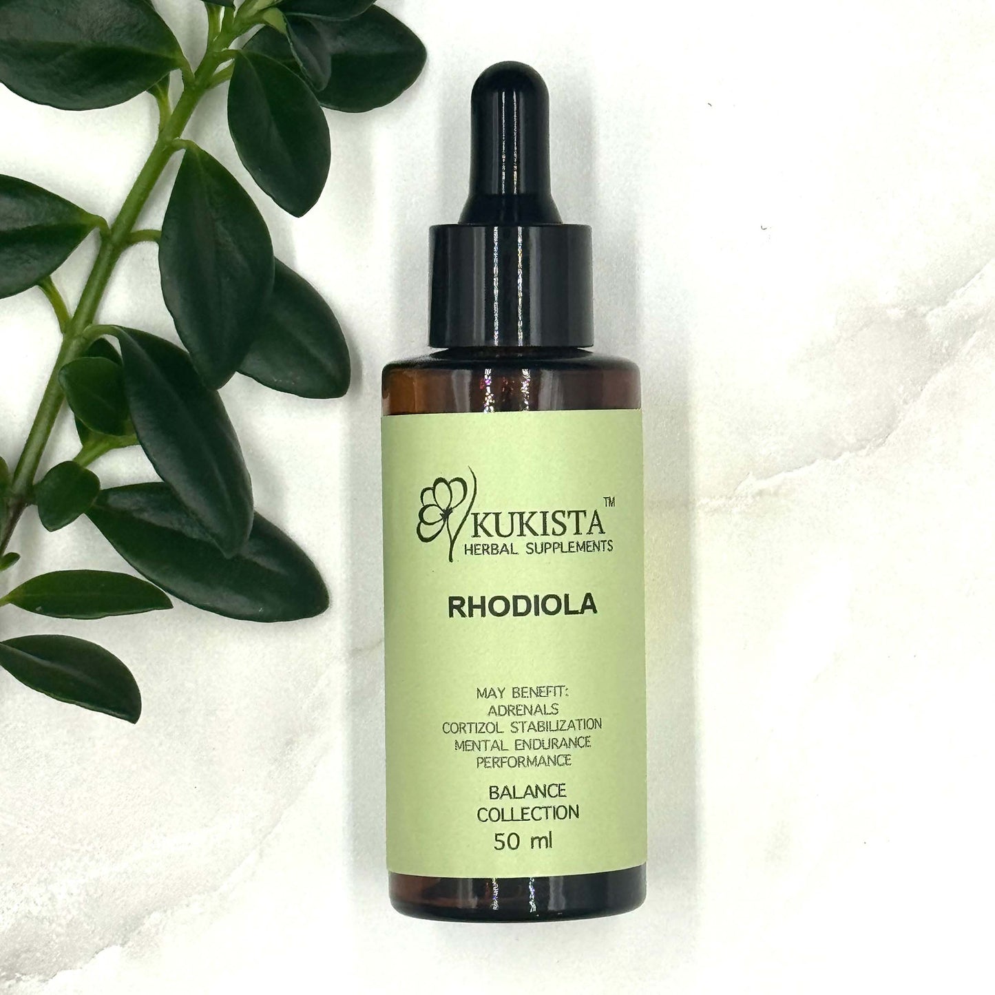 Rhodiola