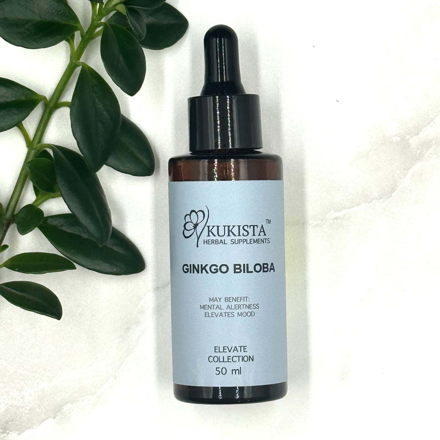 Gingko Biloba