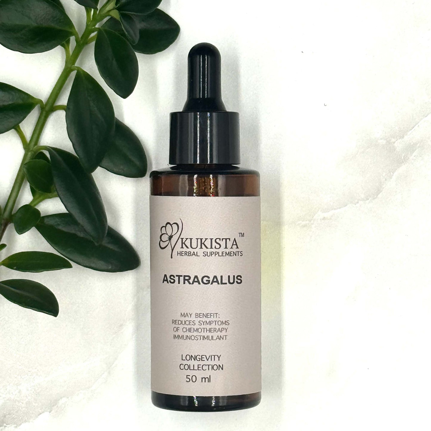Astragalus