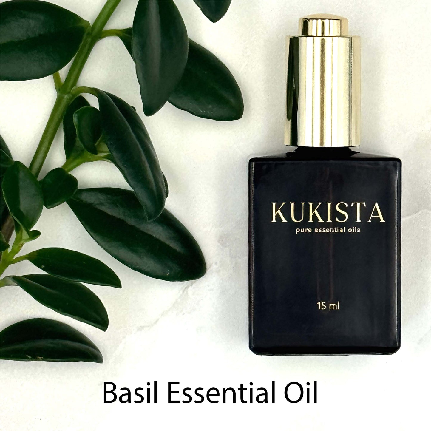 Basil Essential Oil