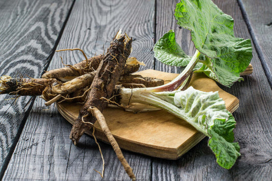 Essiac, Six Robust Herbs for Cell Protection