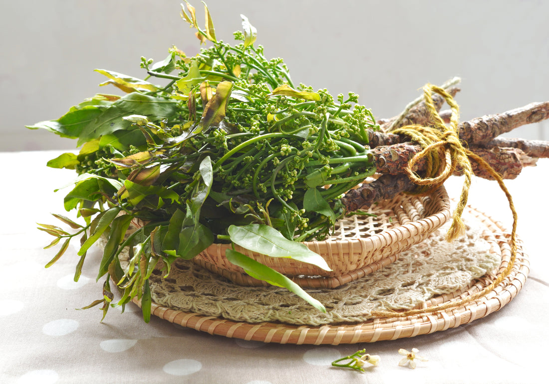 Neem Leaf, The "Village Pharmacy"