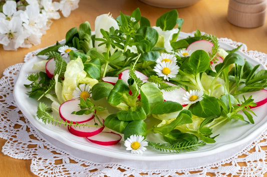 Chickweed, Common Plant, Overlooked Benefits