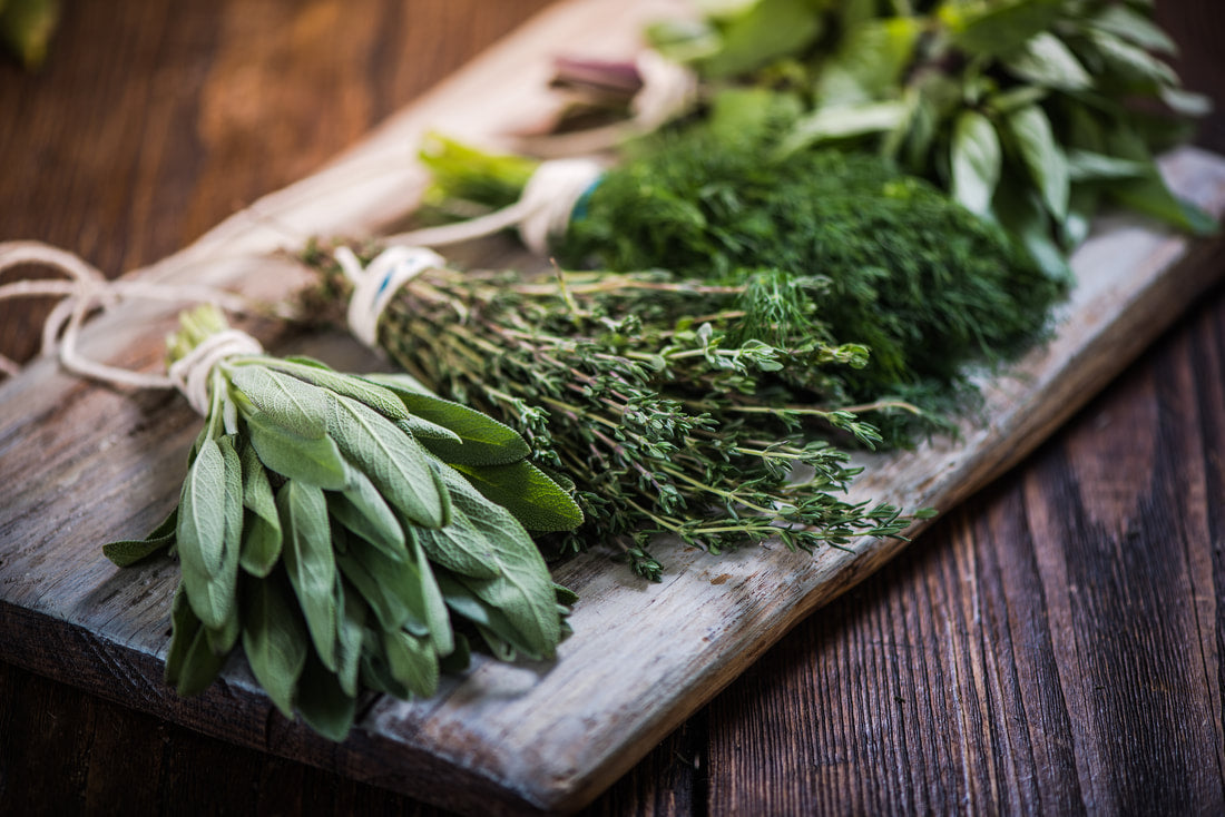 Top 10 Questions Asked About Medicinal Plants and How They Work
