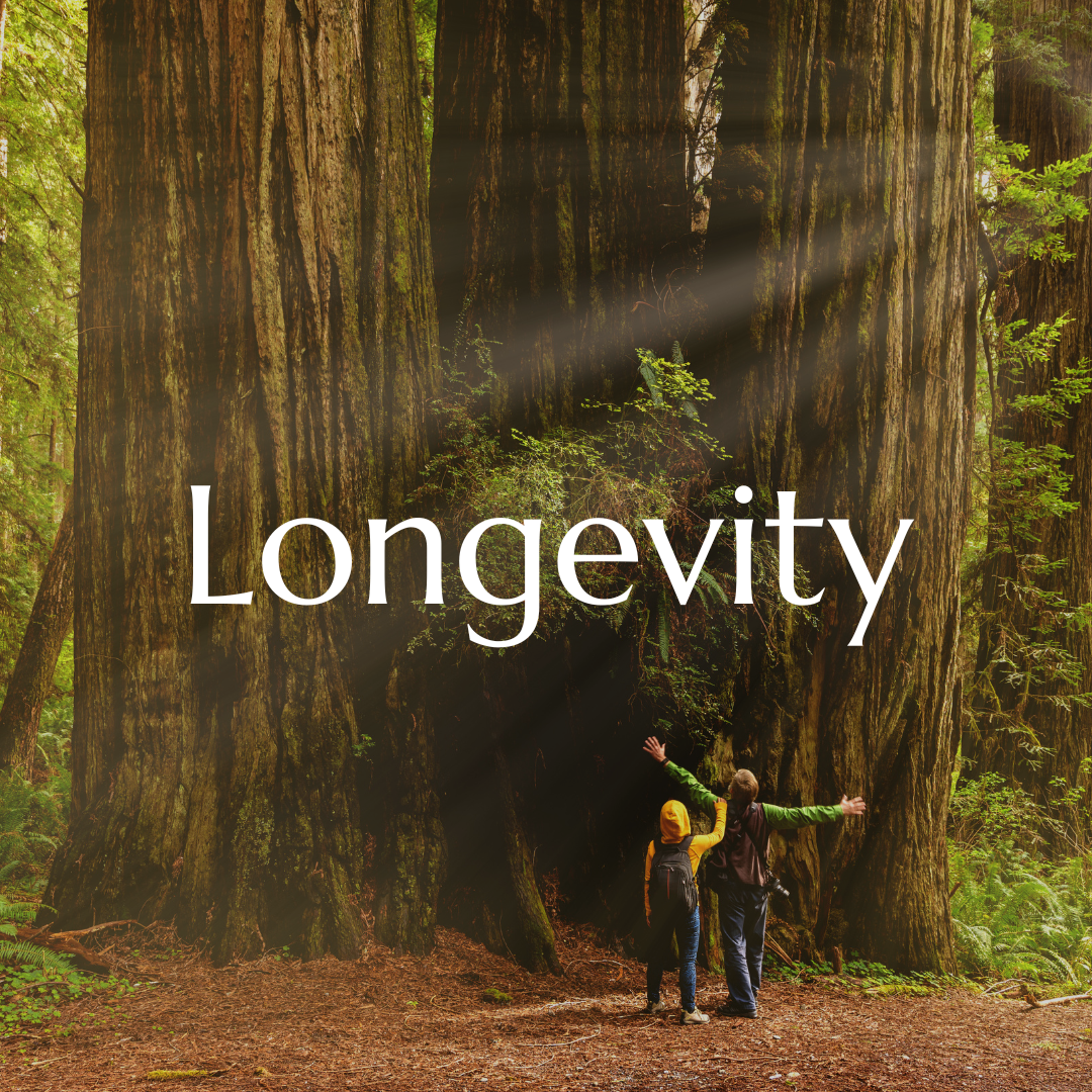 Longevity